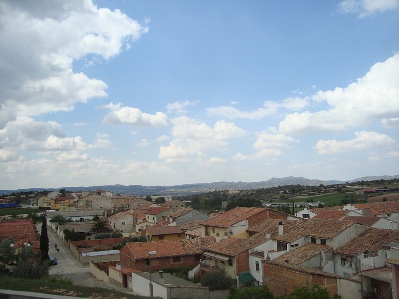 Aguaviva
