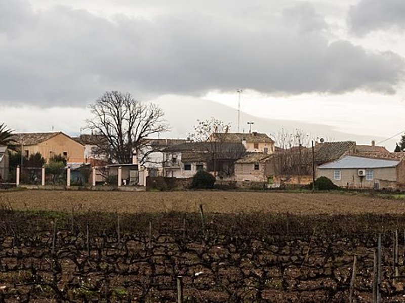 Alberite de San Juan