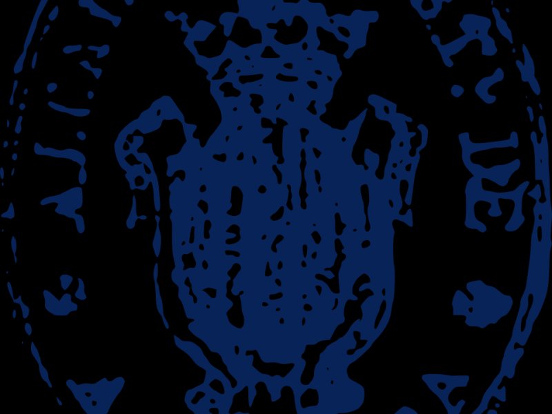 Alcàntera de Xúquer