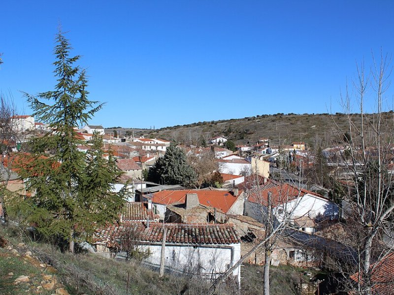Beleña