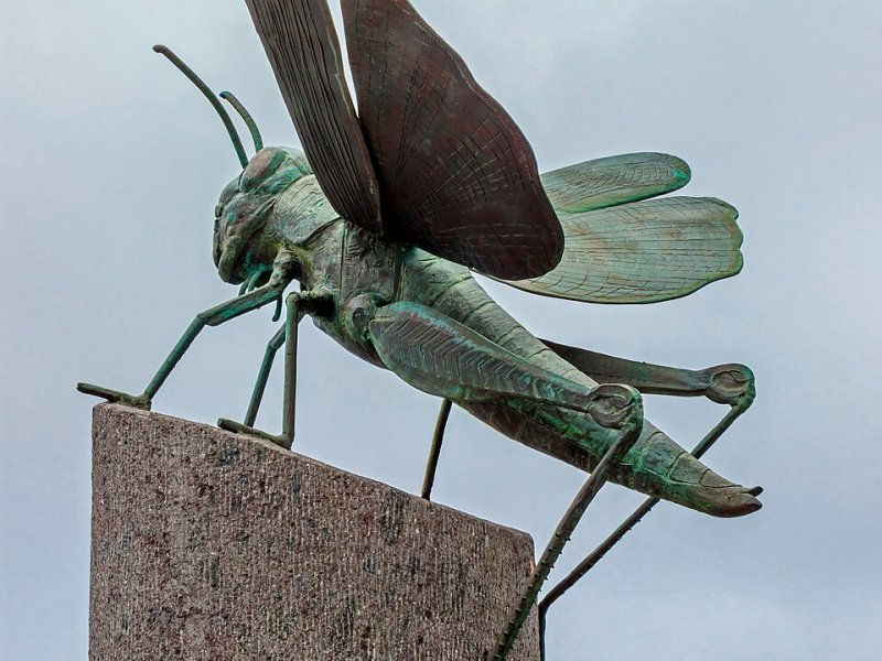 Buenavista del Norte