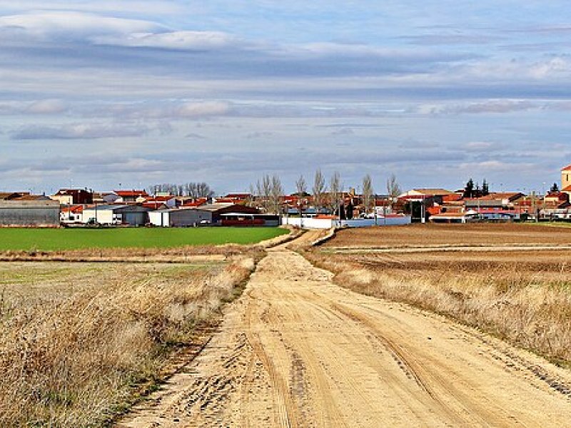 Campo de Peñaranda, El