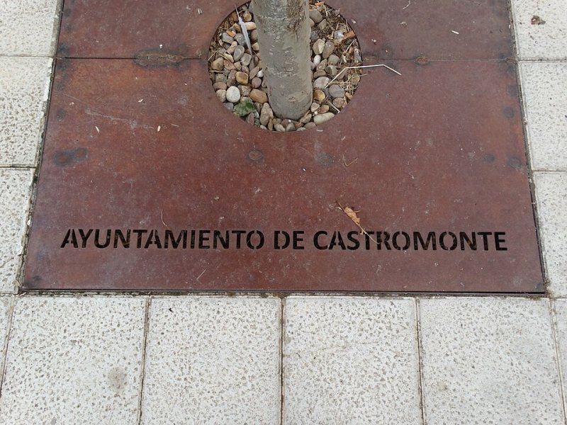 Castromonte