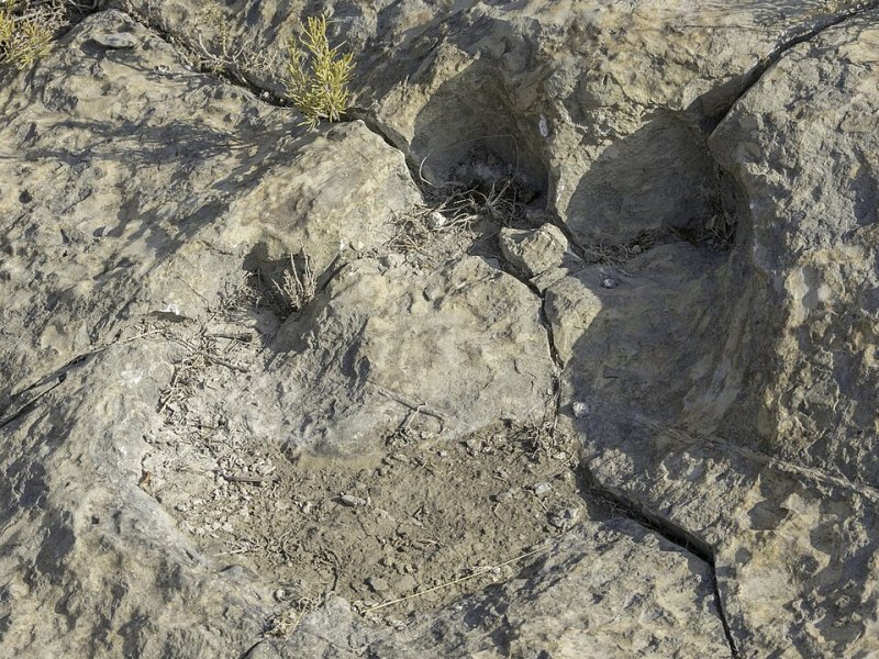 Cervera del Río Alhama