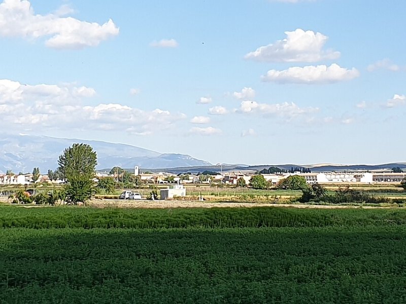 Cijuela