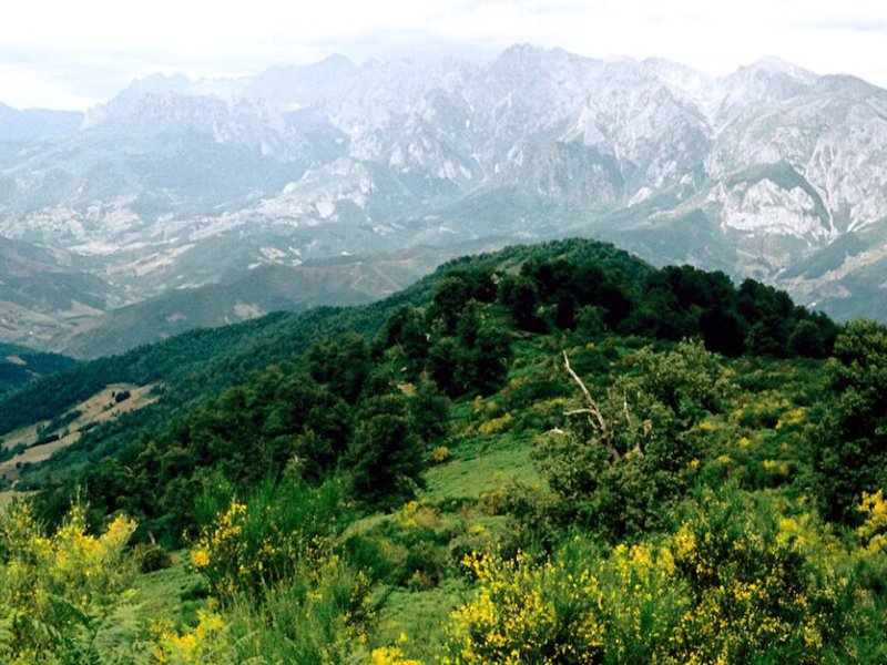 Cillorigo de Liébana