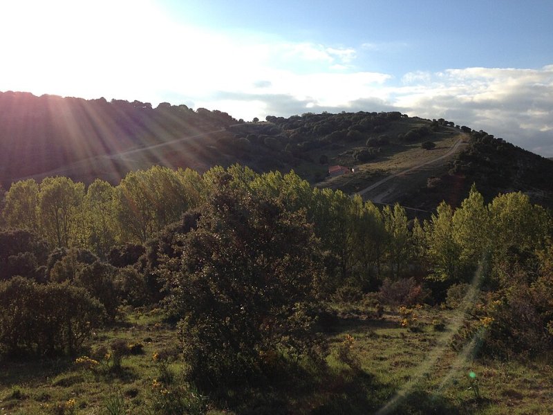 Cuevas de San Clemente