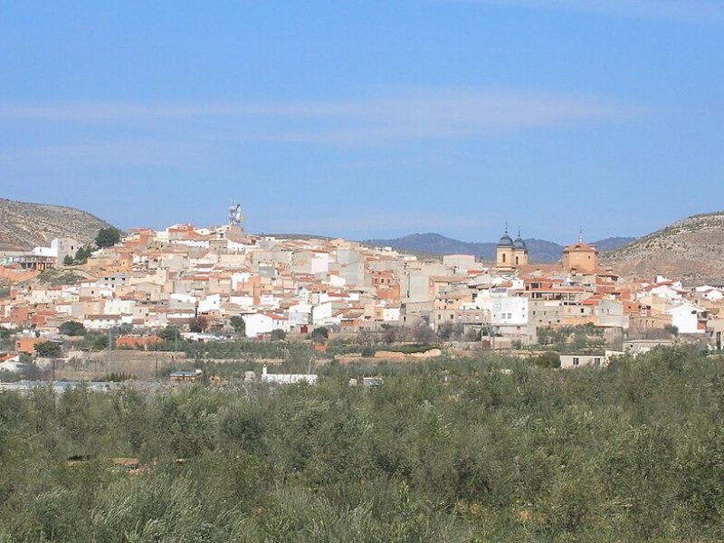Elche de la Sierra