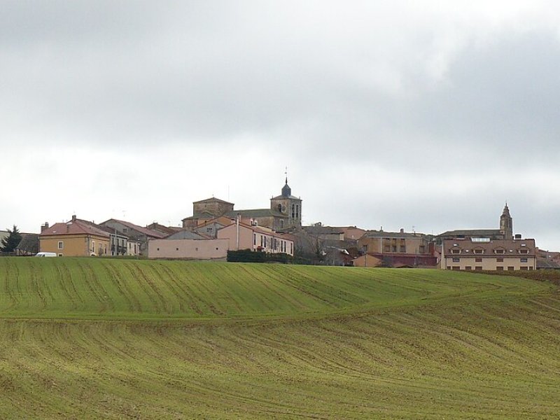 Fresno de Cantespino