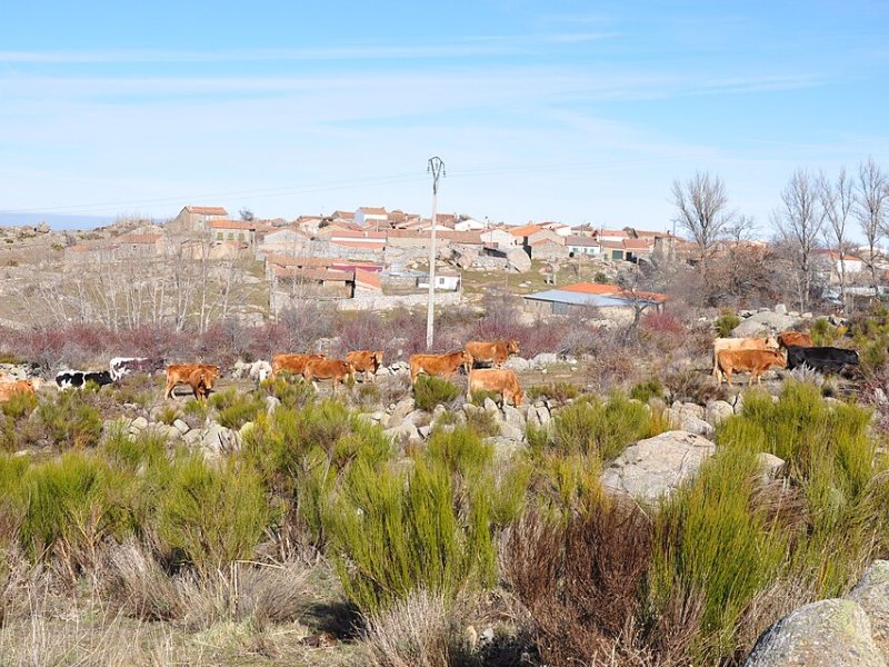 Gallegos de Altamiros