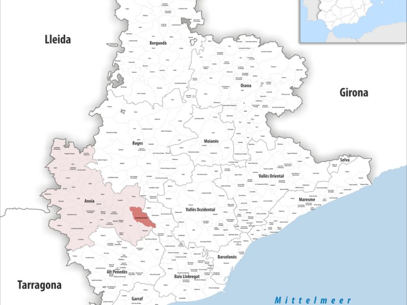 Hostalets de Pierola, Els