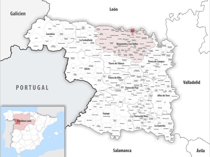 Maire de Castroponce