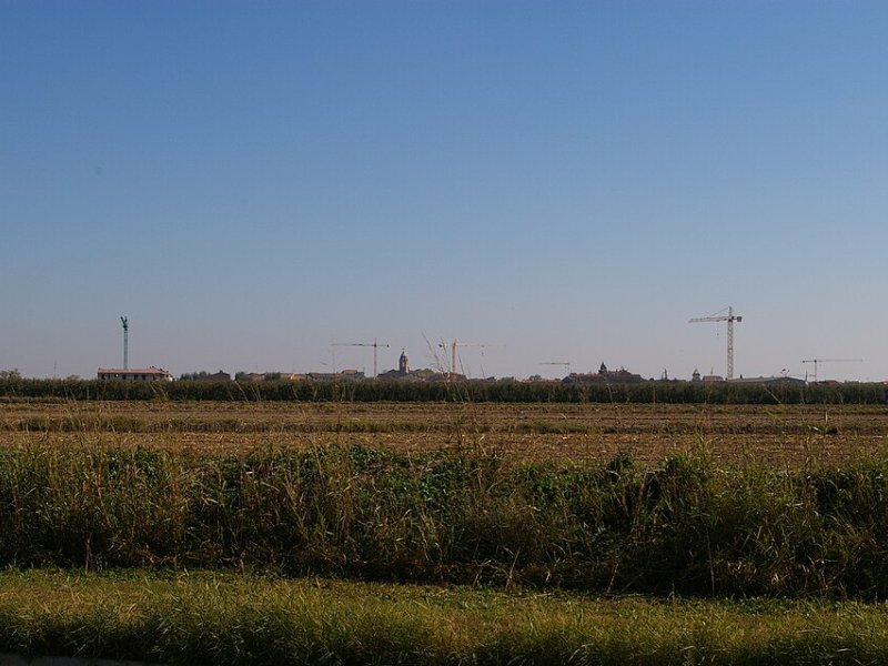 Palau d'Anglesola, El