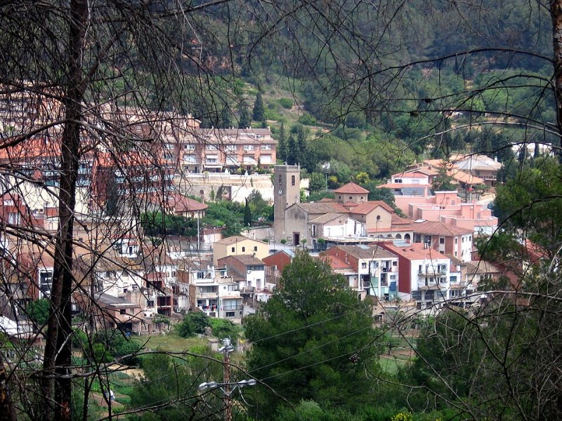 Palma de Cervelló, La