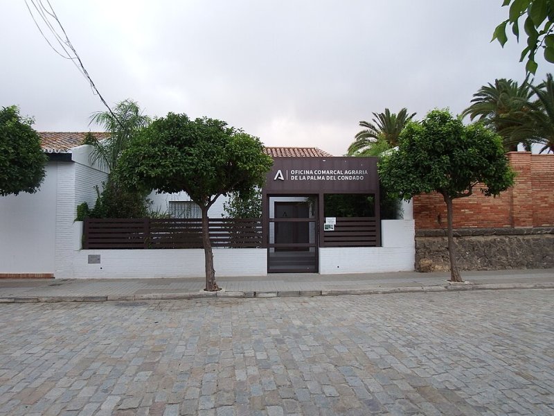 Palma del Condado, La