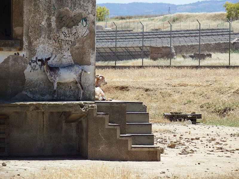 Peñarroya-Pueblonuevo