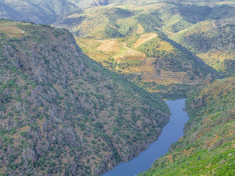 Pereña de la Ribera
