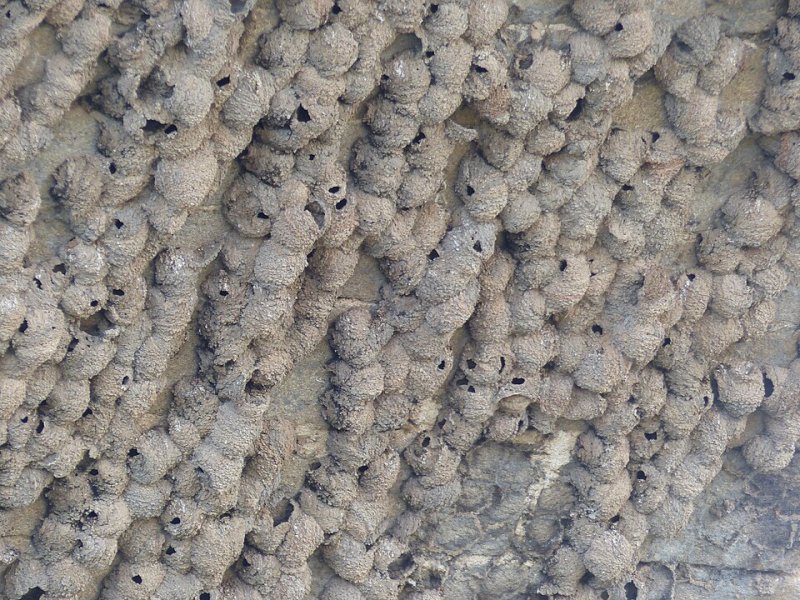 Puente del Arzobispo, El