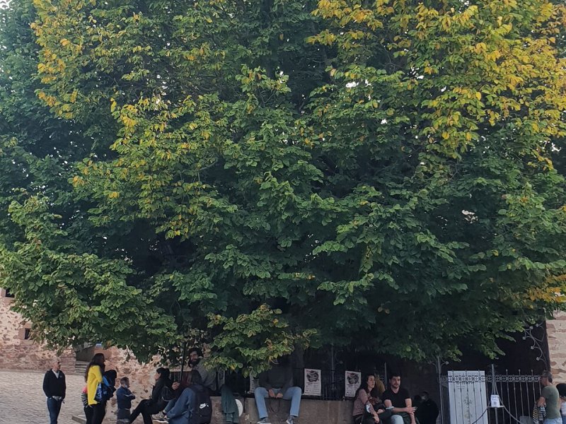 Rasillo de Cameros, El