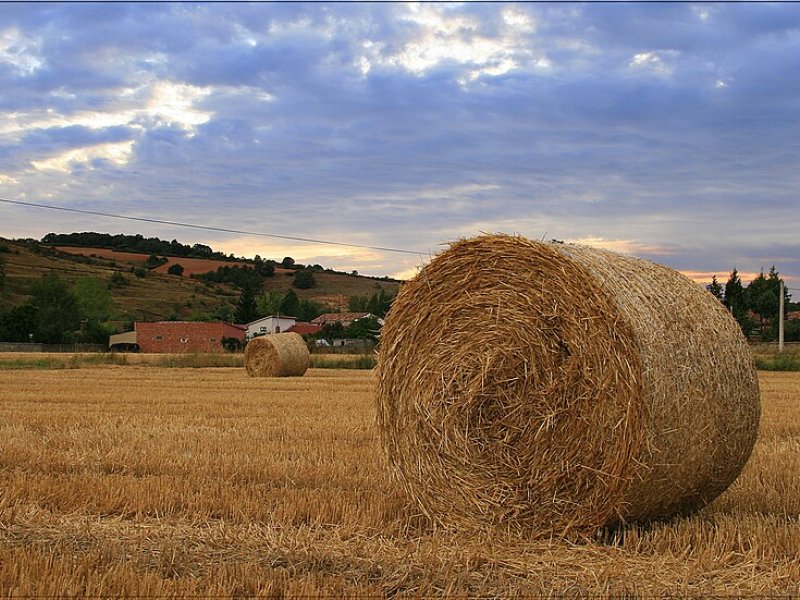 Respenda de la Peña