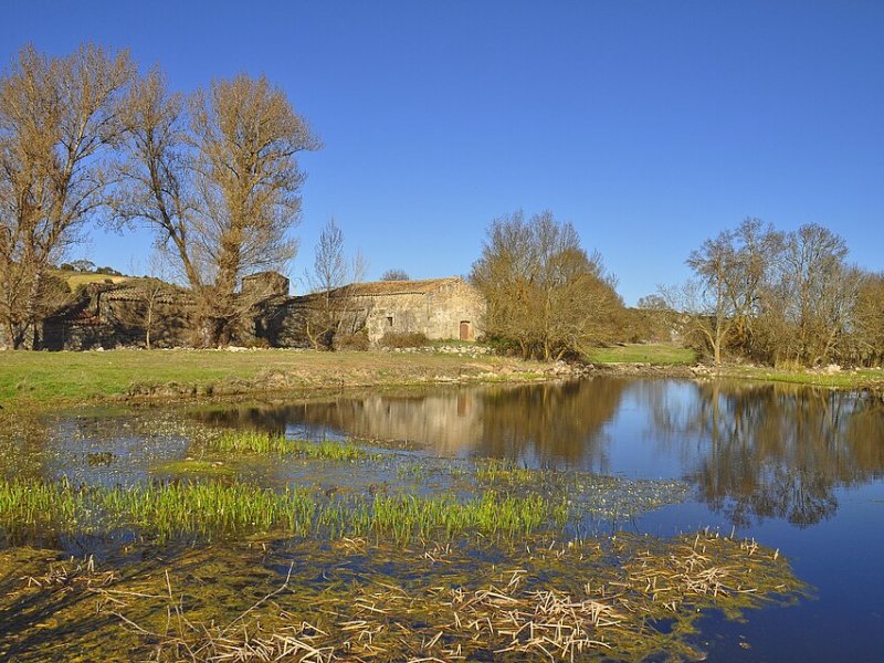 San Pelayo de Guareña