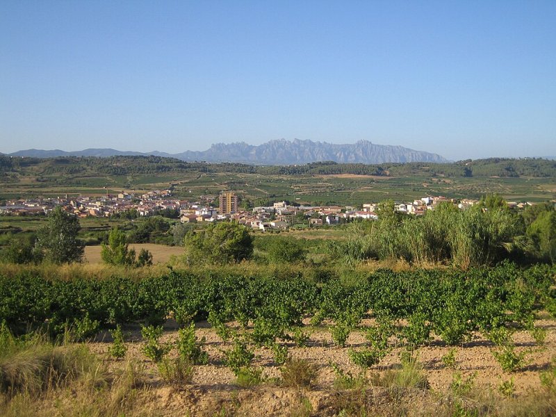 Sant Pere de Riudebitlles
