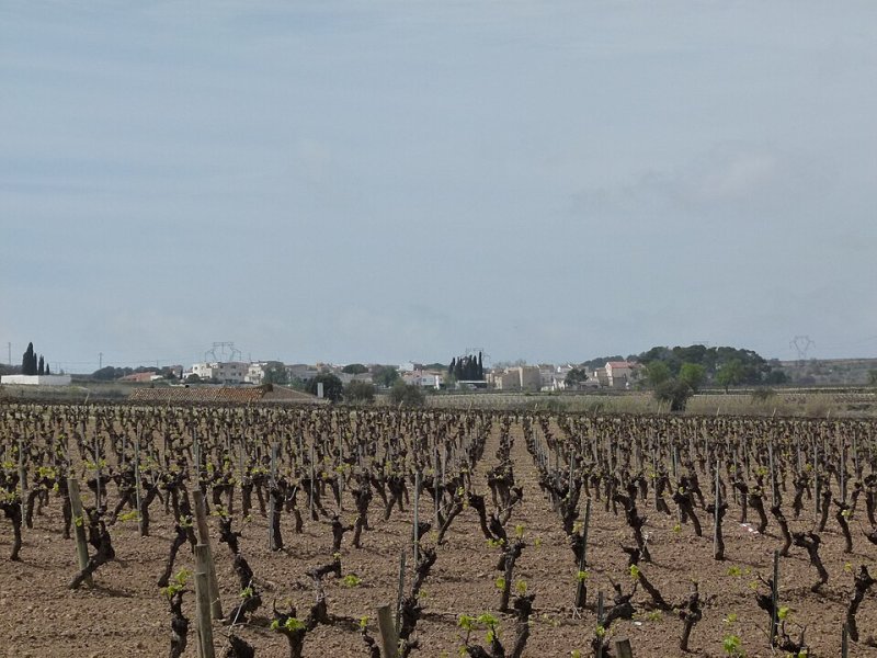 Santa Fe del Penedès