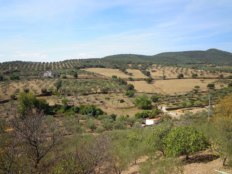 Santa Olalla del Cala