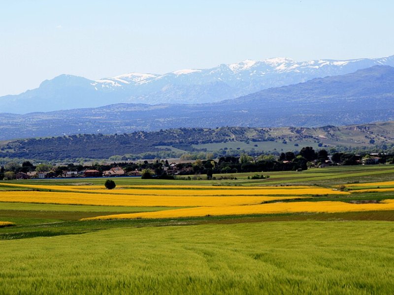 Valdeolmos-Alalpardo