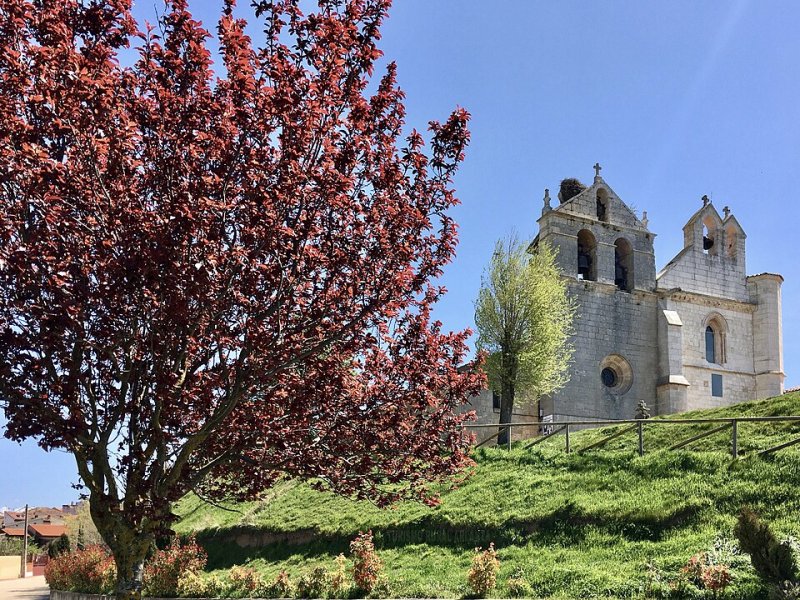 Villamayor de los Montes