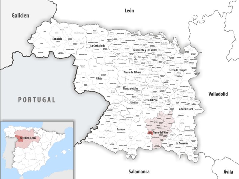 Villanueva de Campeán