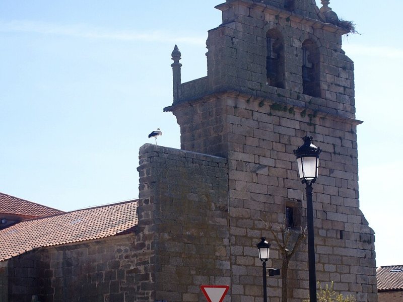 Villaseco de los Reyes