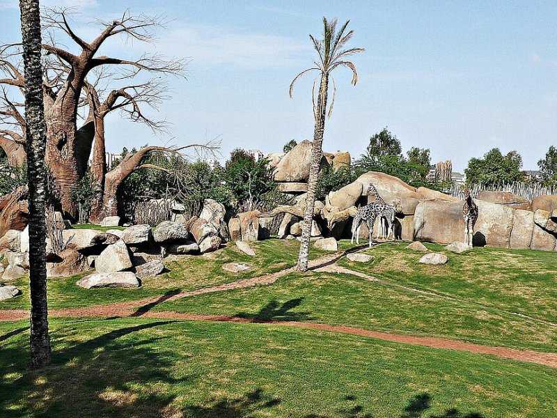 Bioparc