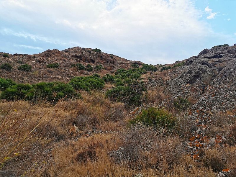 Espacio en CARTAGENA (MURCIA)