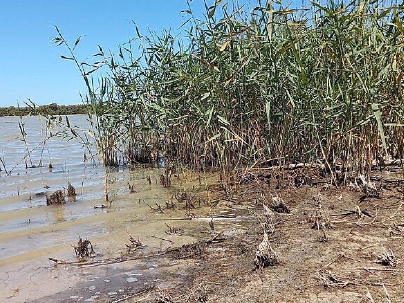 Espacio en EL PUERTO DE SANTA MARÍA