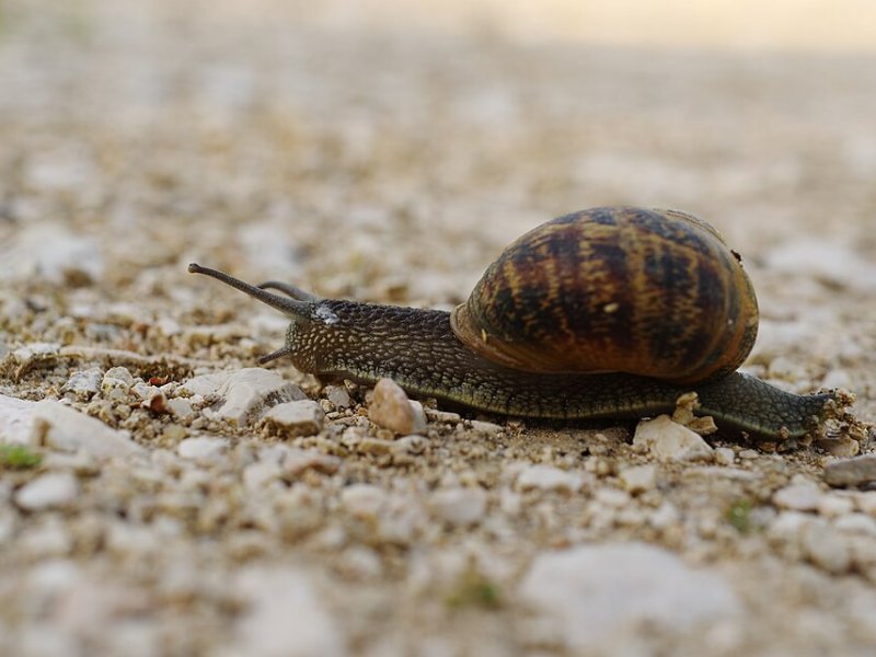 Espacio en Manzanares