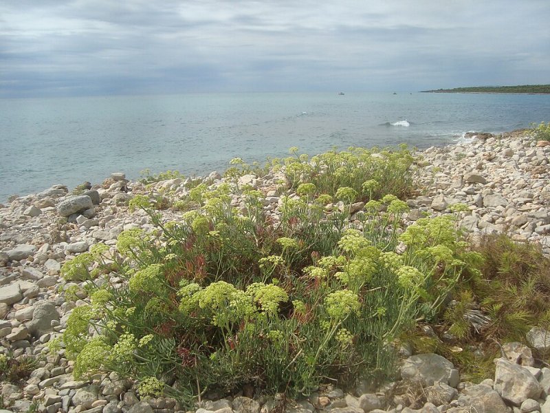 Espacio en PEÑÍSCOLA (CASTELLÓN)