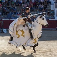 Gran Torneo Medieval