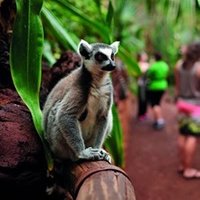 Visita Oasis Widlife Fuerteventura