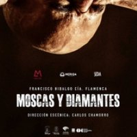 Moscas y Diamantes