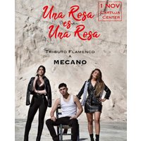 Una Rosa Es Una Rosa - Tributo Flamenco A Mecano