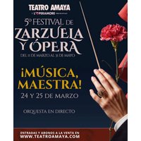 ¡Música, Maestra! - 5º Festival de Zarzuela y Ópera