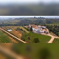 Visita bodega, curso cata y comida