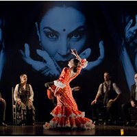 Clases de flamenco - Barcelona